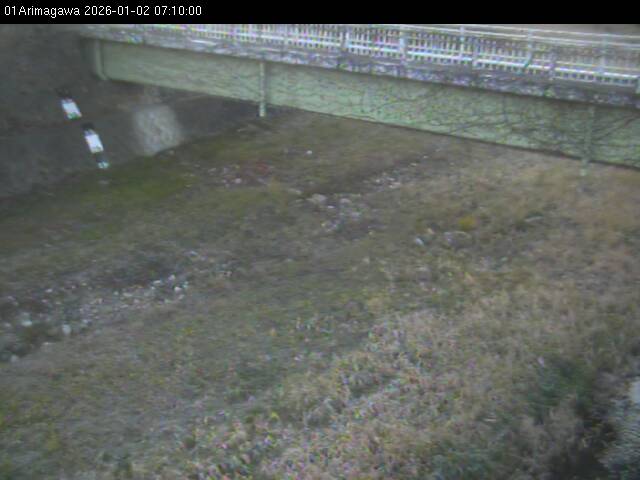 最新監視カメラ画像