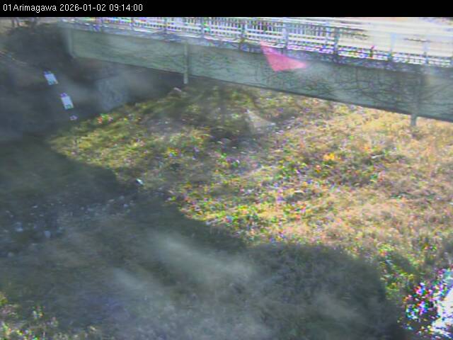 最新監視カメラ画像