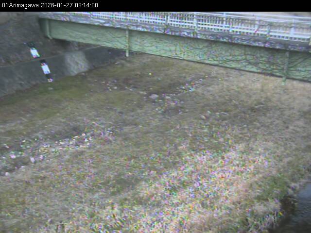 最新監視カメラ画像