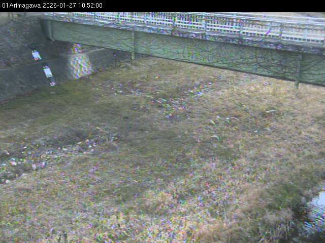 最新監視カメラ画像