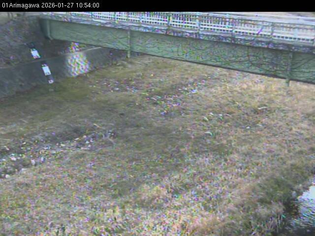 最新監視カメラ画像