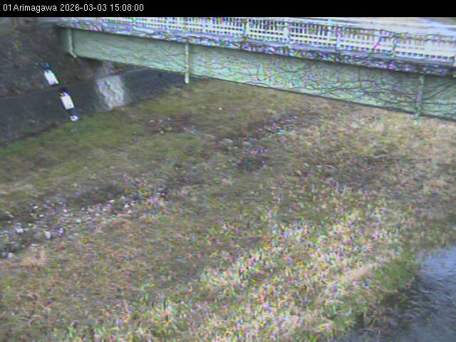 最新監視カメラ画像