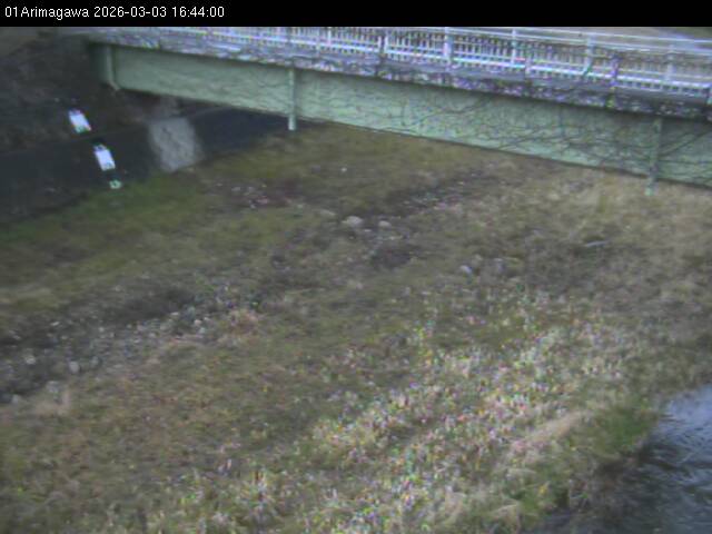 最新監視カメラ画像