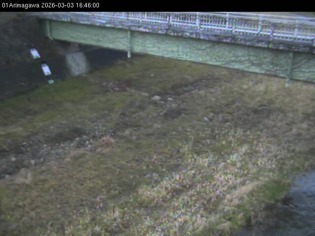 最新監視カメラ画像