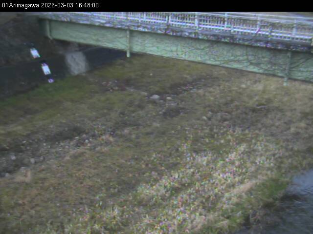 最新監視カメラ画像