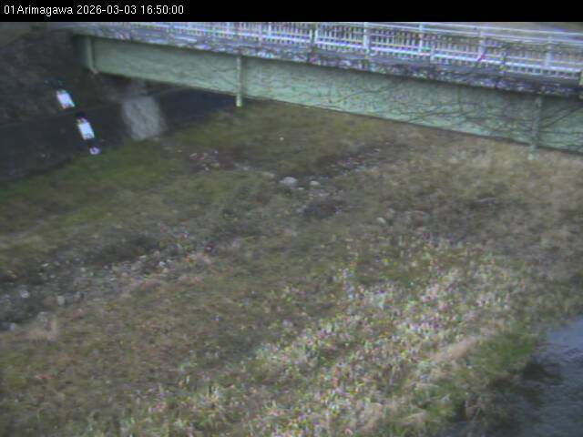 最新監視カメラ画像