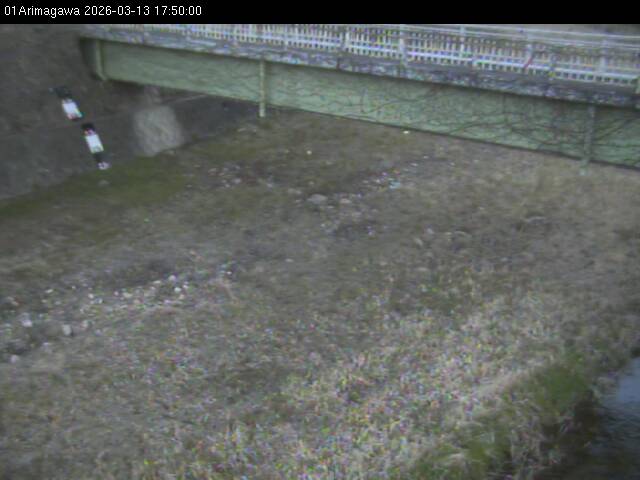 最新監視カメラ画像