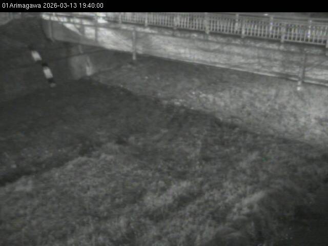 最新監視カメラ画像