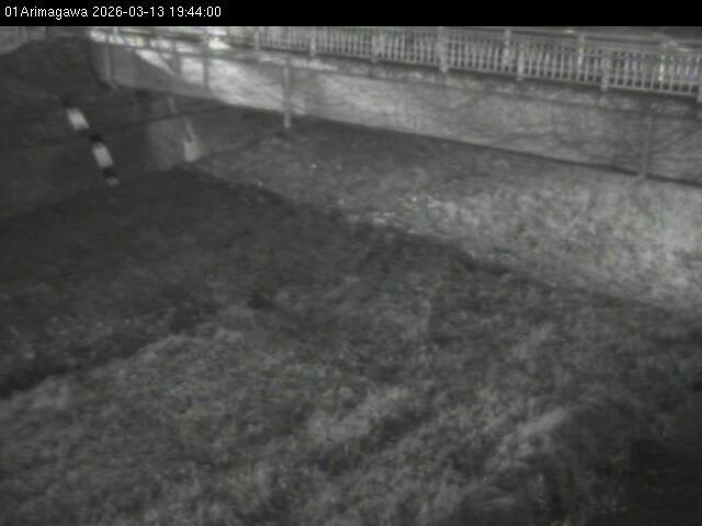 最新監視カメラ画像