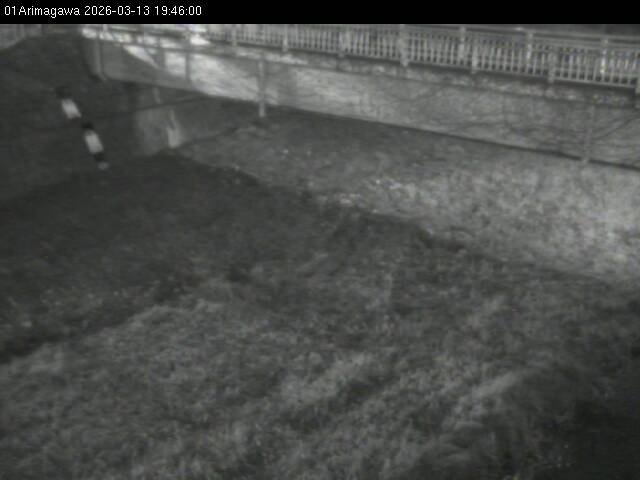 最新監視カメラ画像