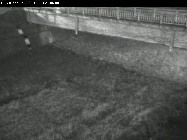 最新監視カメラ画像