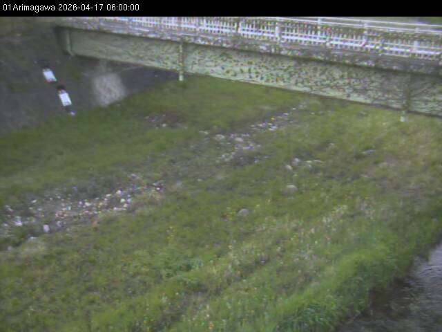 最新監視カメラ画像