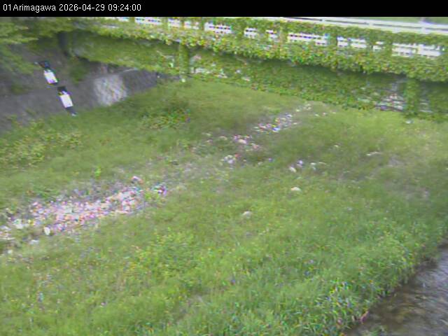 最新監視カメラ画像