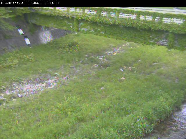 最新監視カメラ画像