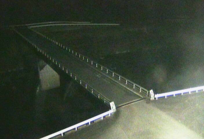 最新監視カメラ画像