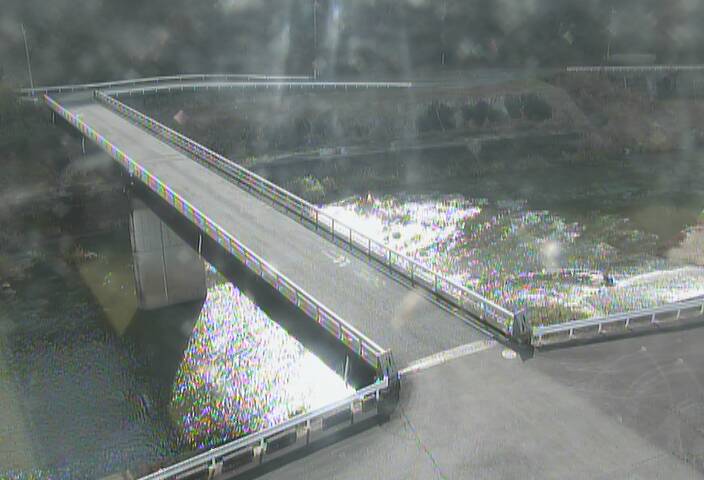 最新監視カメラ画像