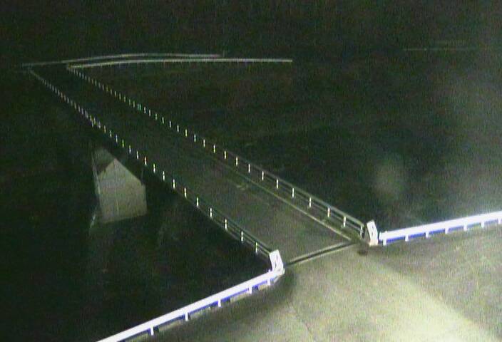 最新監視カメラ画像