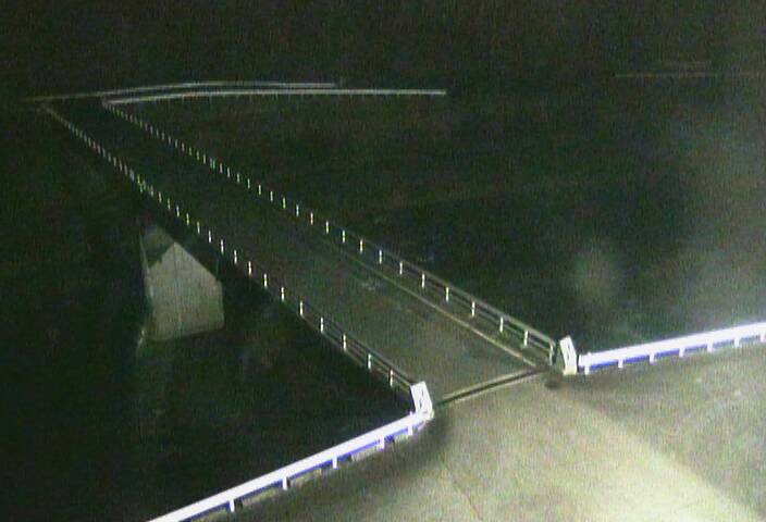 最新監視カメラ画像