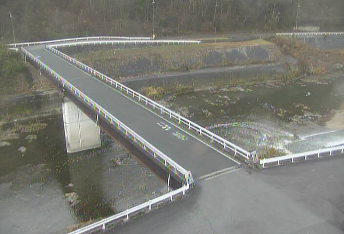 最新監視カメラ画像