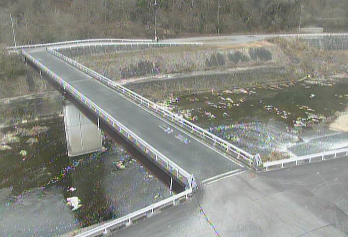 最新監視カメラ画像