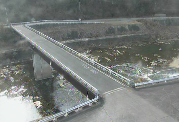 最新監視カメラ画像