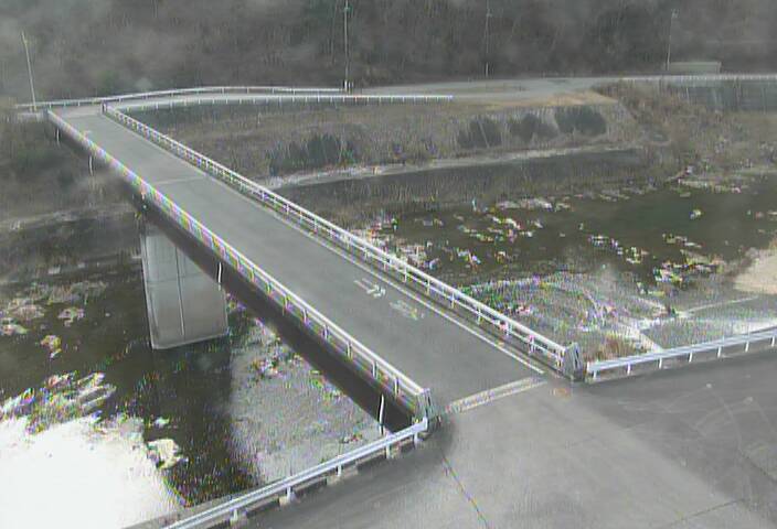 最新監視カメラ画像