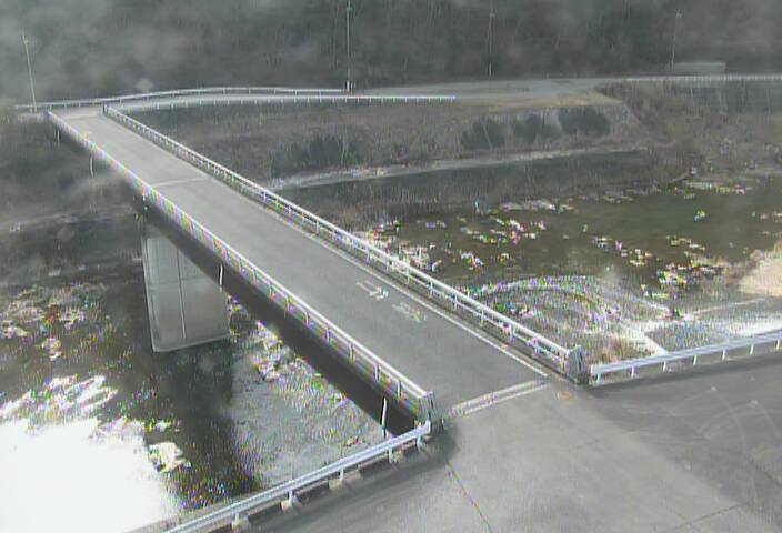 最新監視カメラ画像