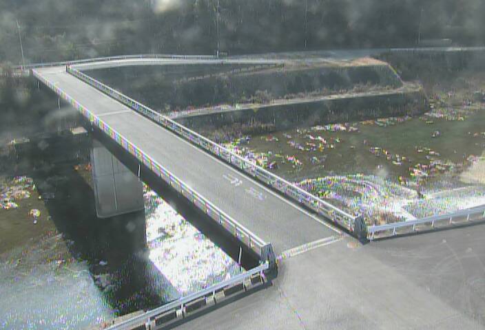 最新監視カメラ画像