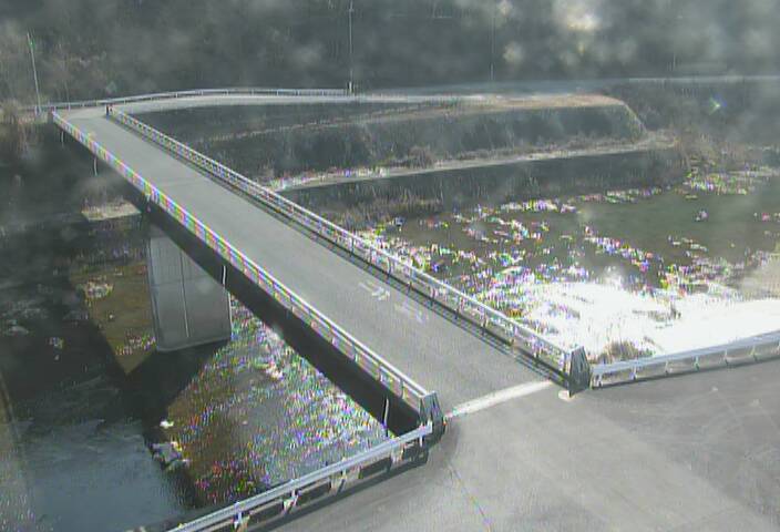 最新監視カメラ画像