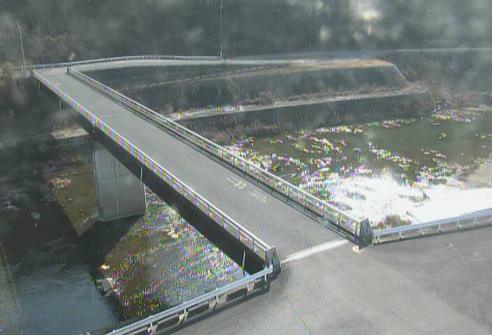 最新監視カメラ画像