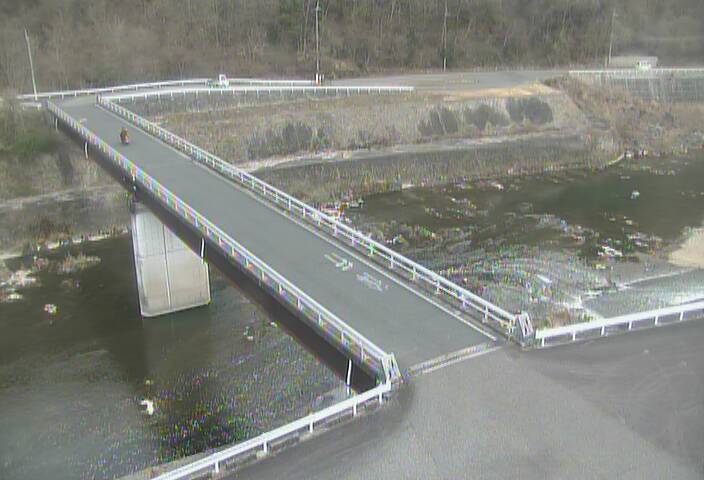 最新監視カメラ画像