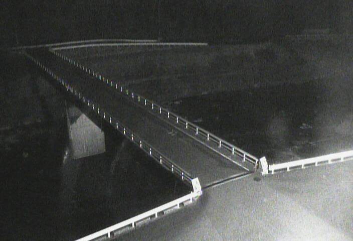 最新監視カメラ画像