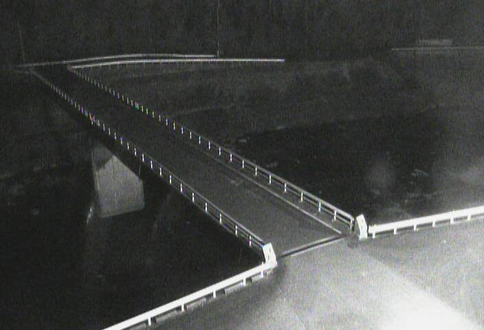 最新監視カメラ画像