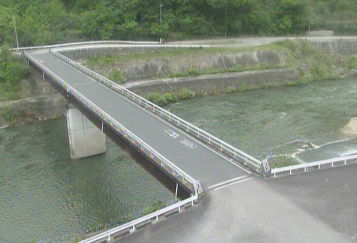 最新監視カメラ画像