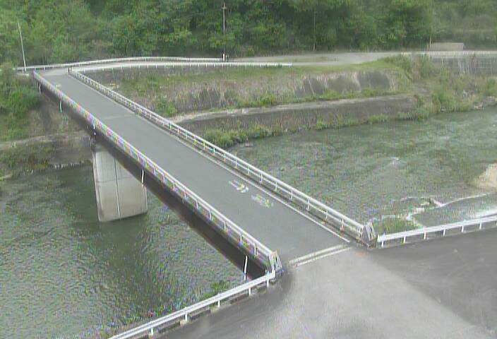 最新監視カメラ画像