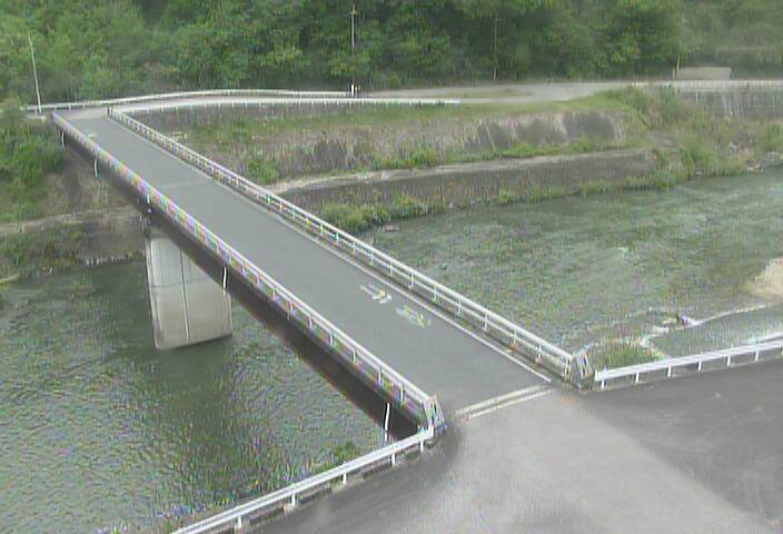 最新監視カメラ画像