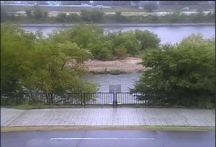 最新監視カメラ画像