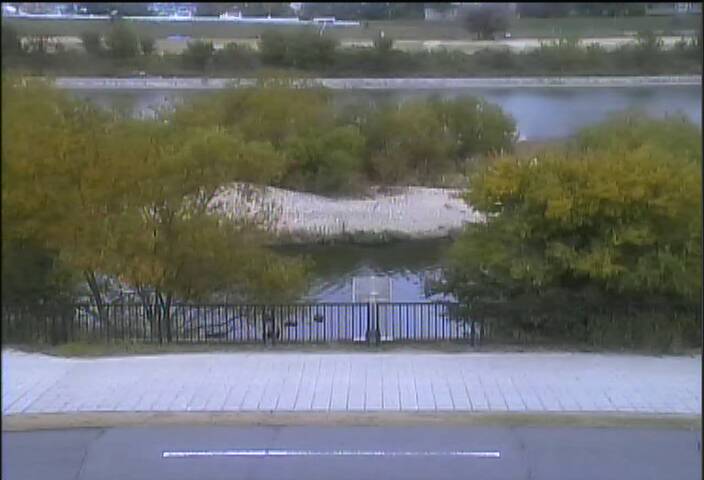 最新監視カメラ画像