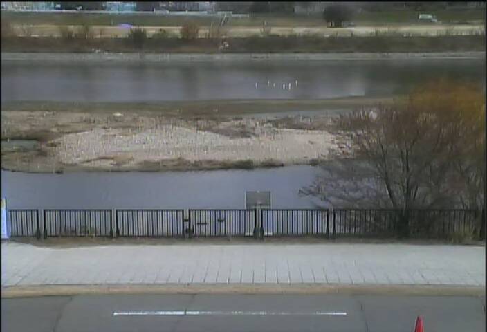 最新監視カメラ画像