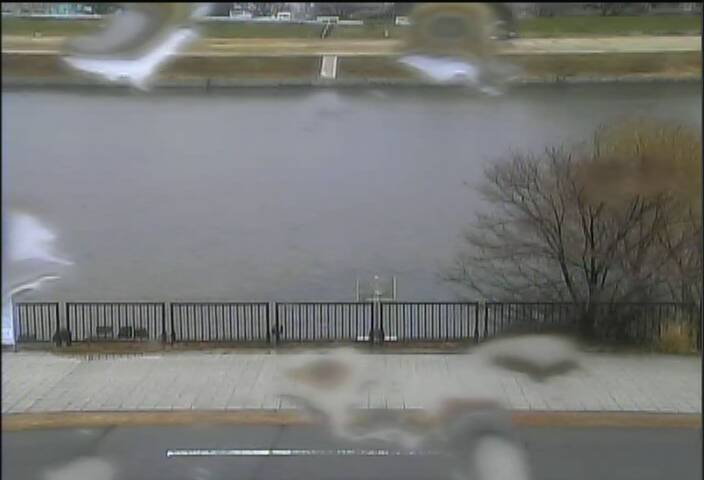 最新監視カメラ画像