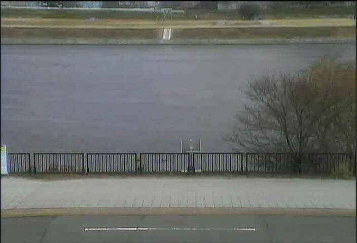 最新監視カメラ画像