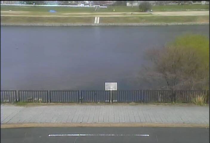 最新監視カメラ画像