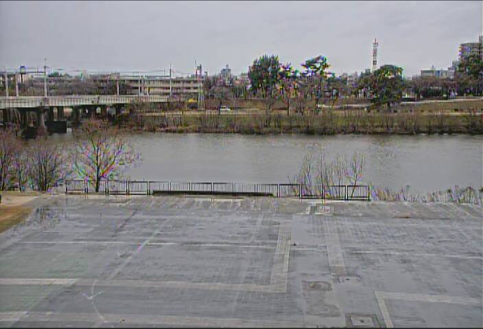 最新監視カメラ画像