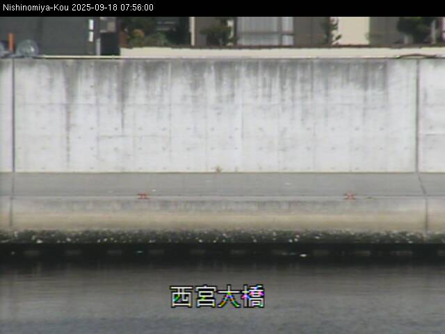 最新監視カメラ画像