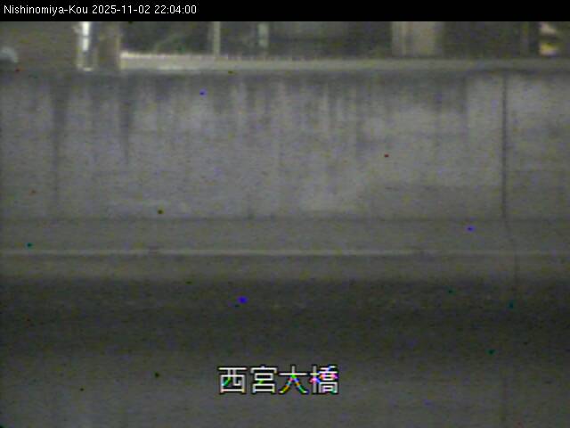 最新監視カメラ画像