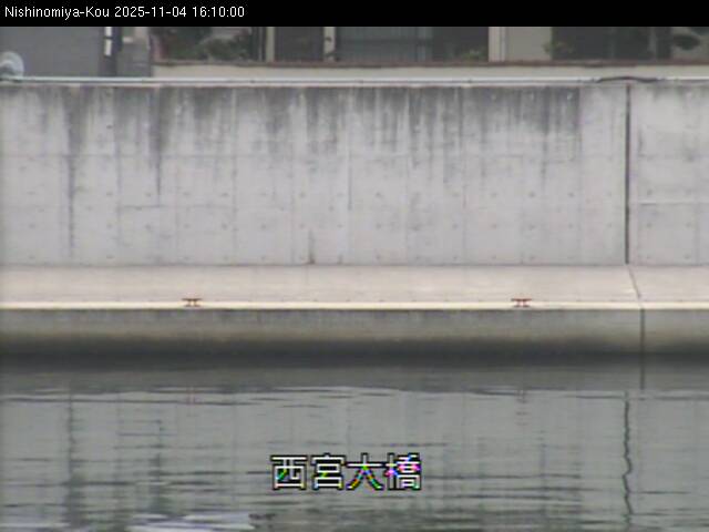 最新監視カメラ画像