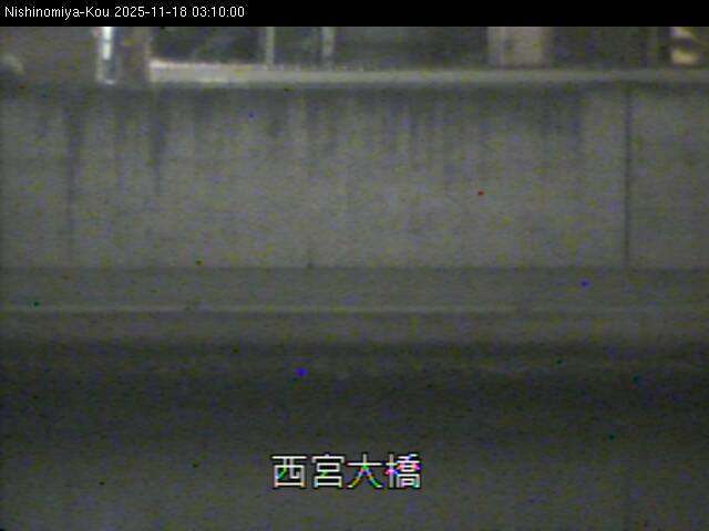 最新監視カメラ画像