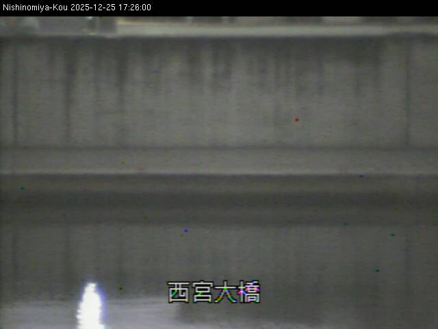 最新監視カメラ画像