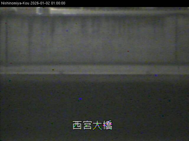 最新監視カメラ画像