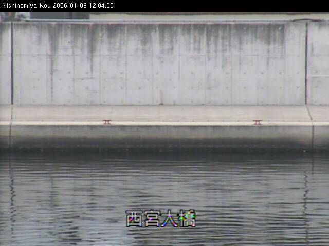 最新監視カメラ画像